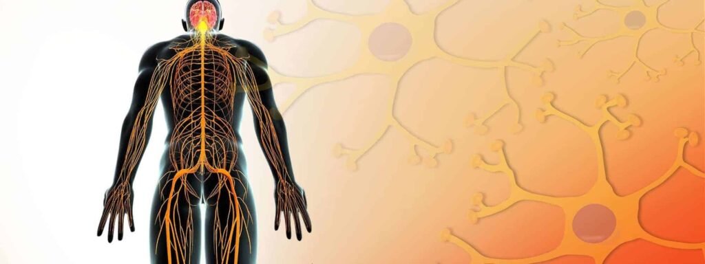 is burning a sign of nerve healing